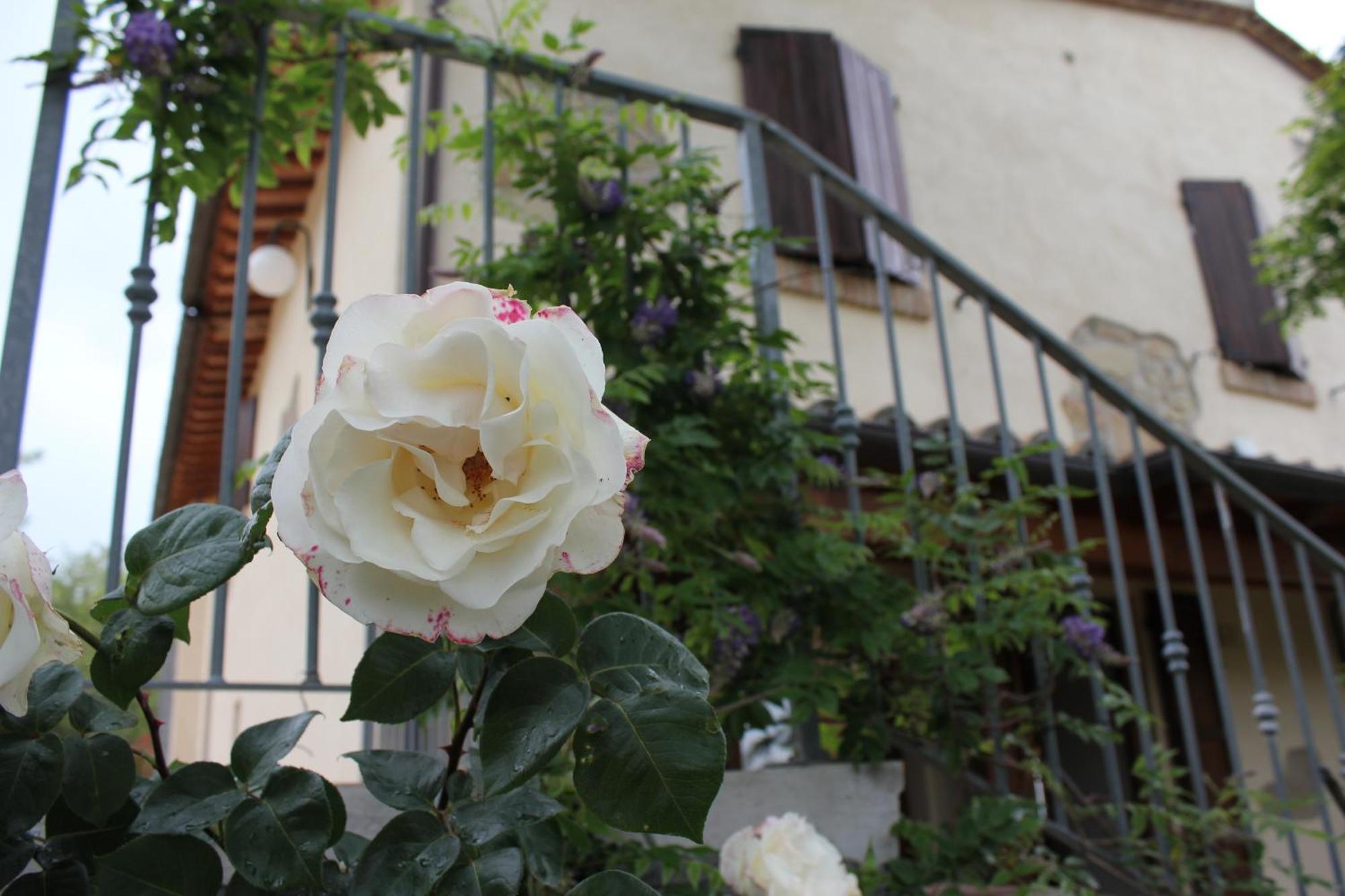 Agriturismo La Valle Del Vento Urbino Eksteriør billede