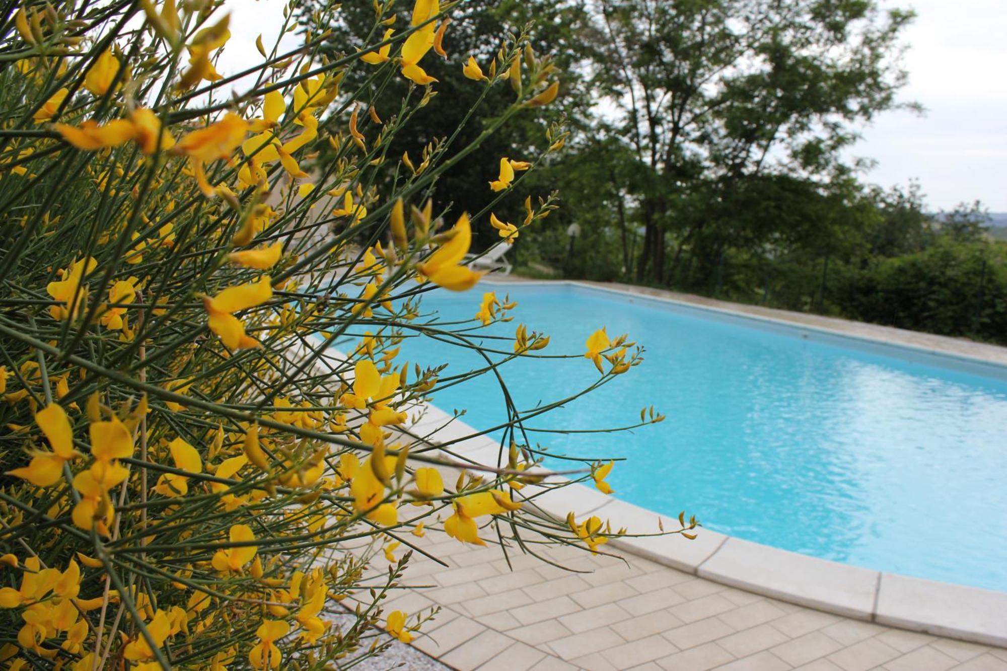 Agriturismo La Valle Del Vento Urbino Eksteriør billede