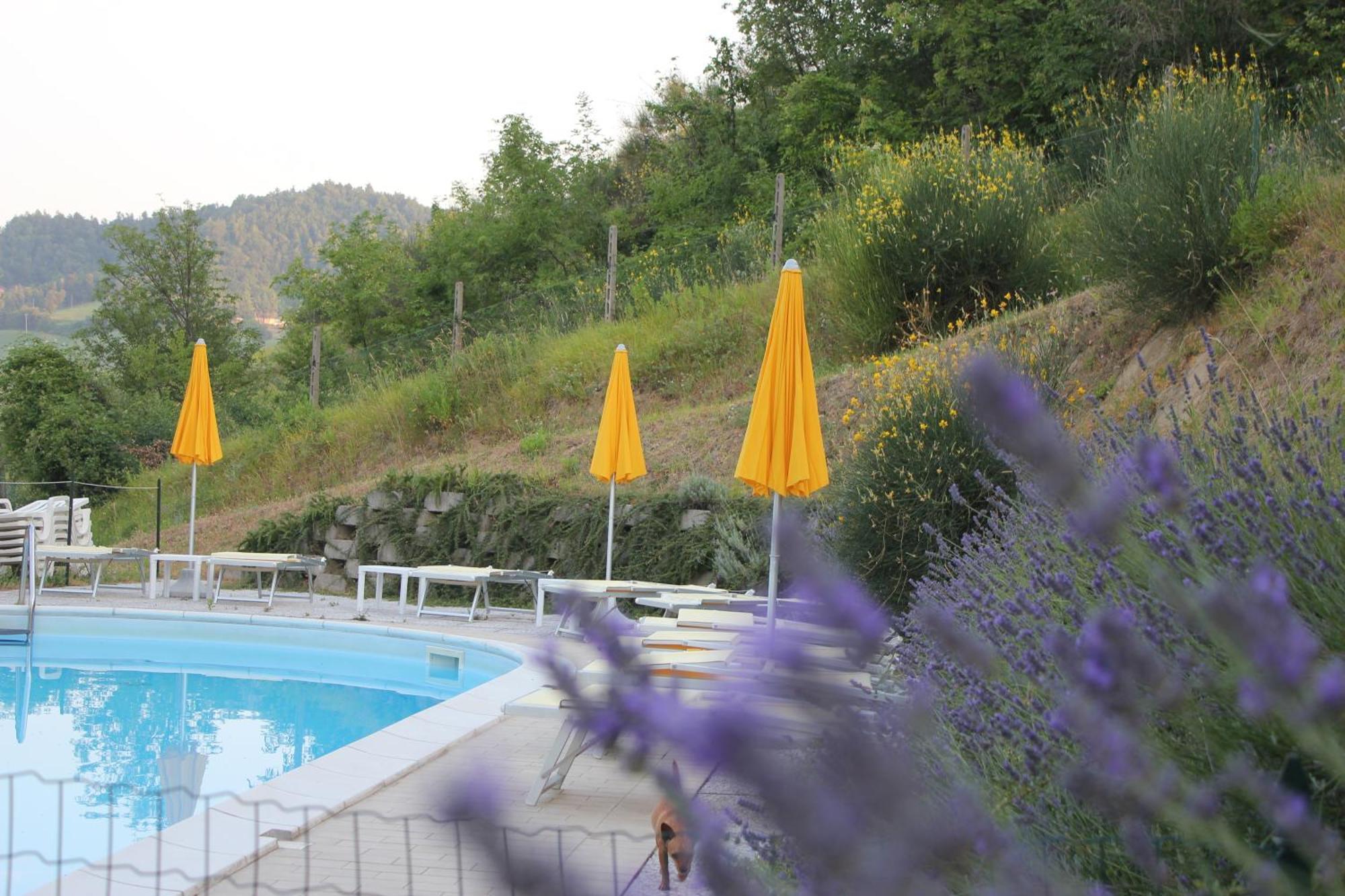 Agriturismo La Valle Del Vento Urbino Eksteriør billede