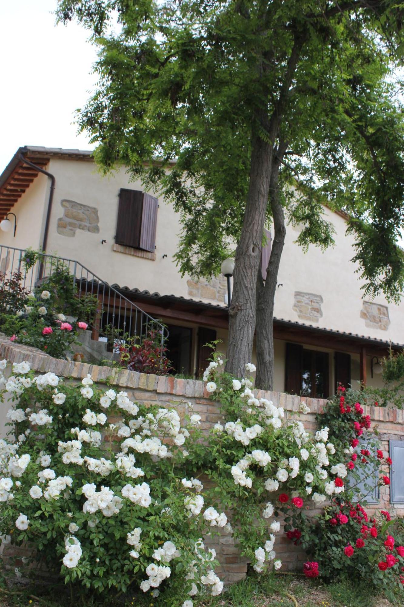 Agriturismo La Valle Del Vento Urbino Eksteriør billede