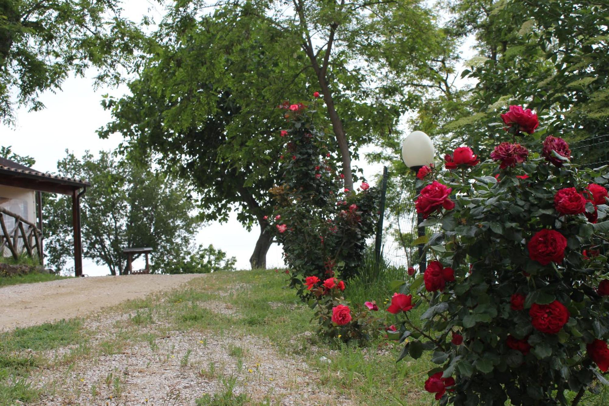 Agriturismo La Valle Del Vento Urbino Eksteriør billede